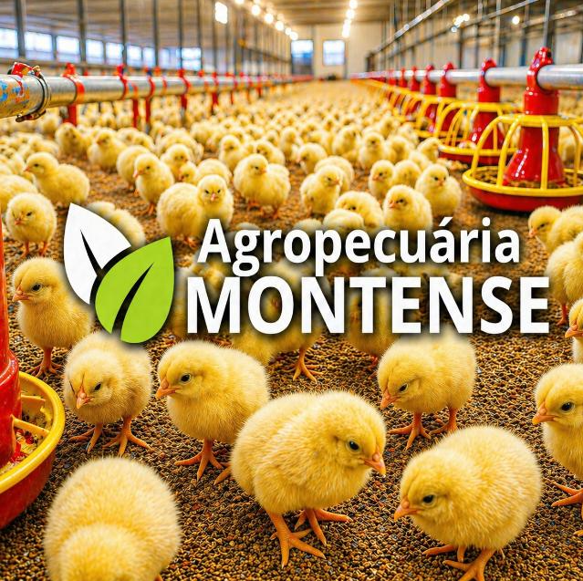 Agropecuária Montense
